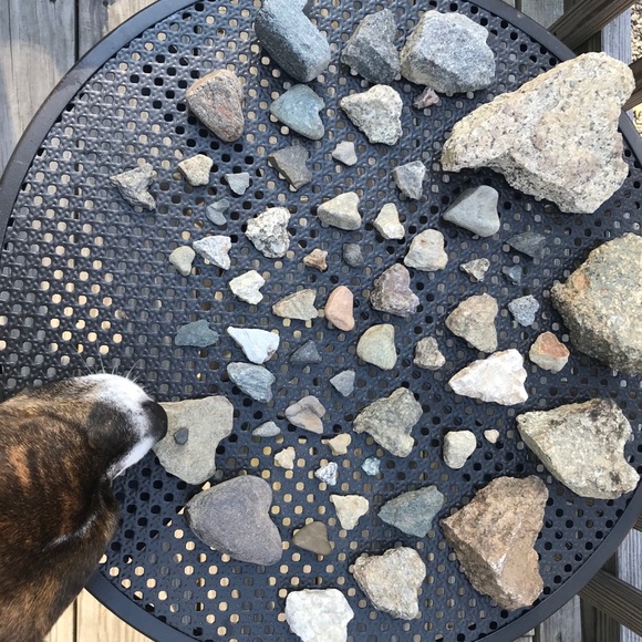 Meet your Posher, Michelle - Picture 3 of 3